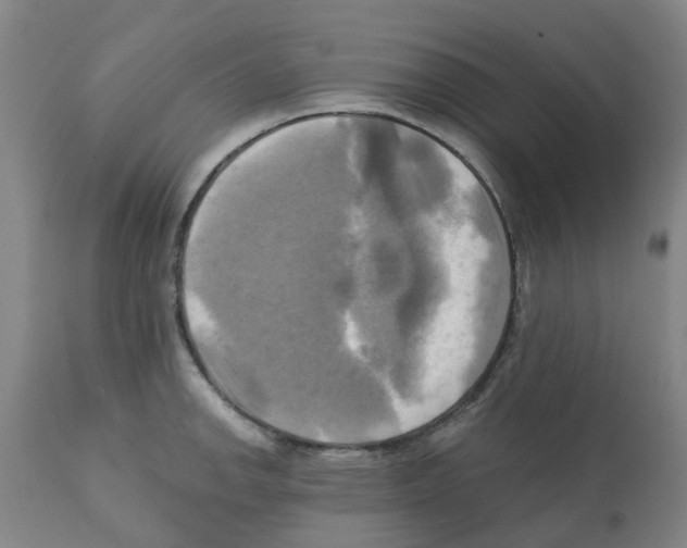 X0000112101142200909151153