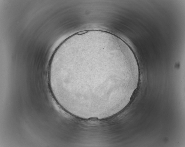 X0000112101144200909151153