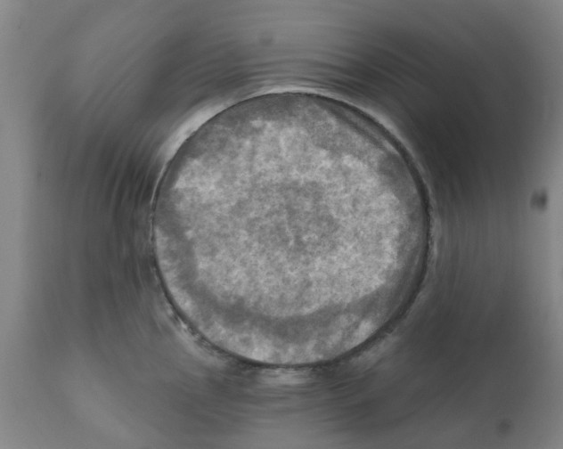 X0000112101145200909151153