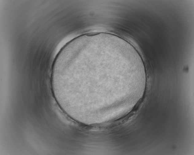 X0000112101146200909151153
