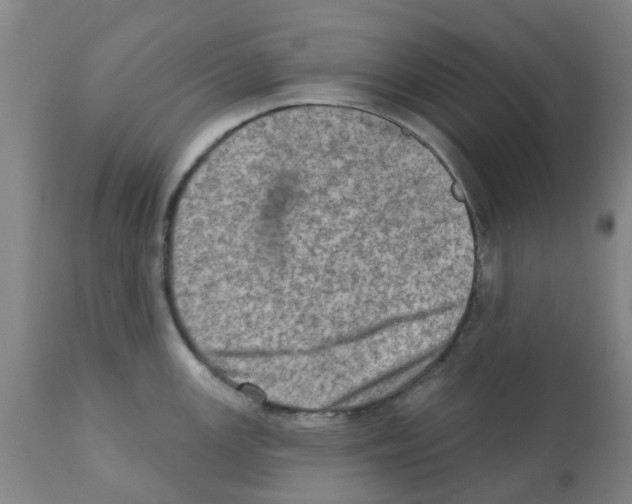 X0000112101147200909151153