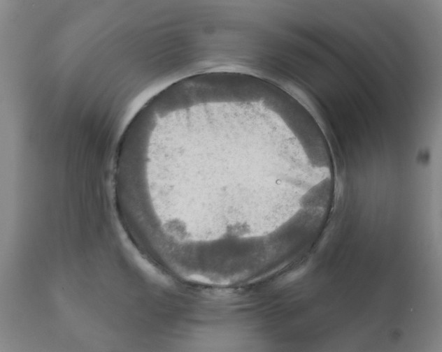 X0000112101149200909151153