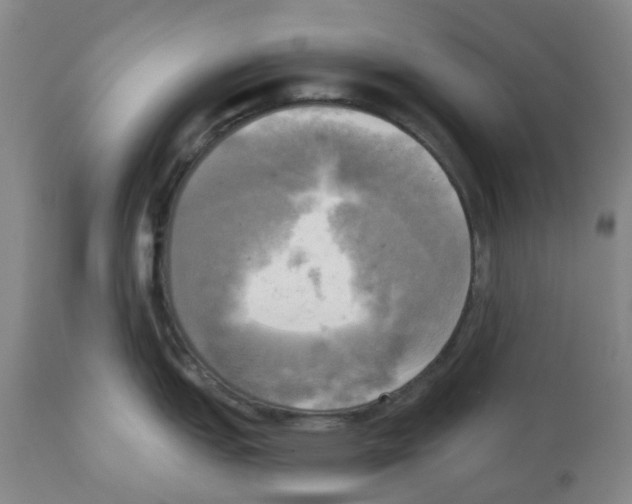 X0000112101151200909151153