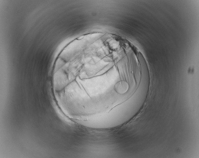 X0000112101152200909151153