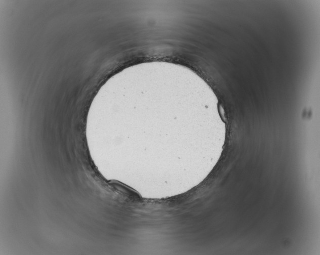 X0000112101153200909151153