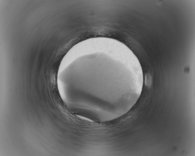 X0000112101155200909151153