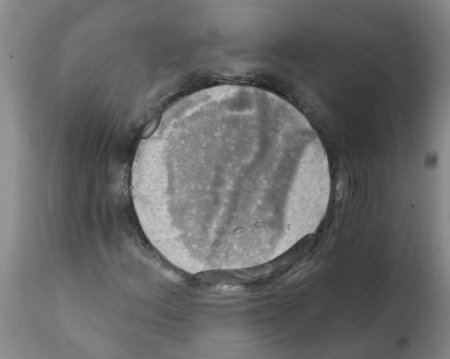 X0000112101156200909151153