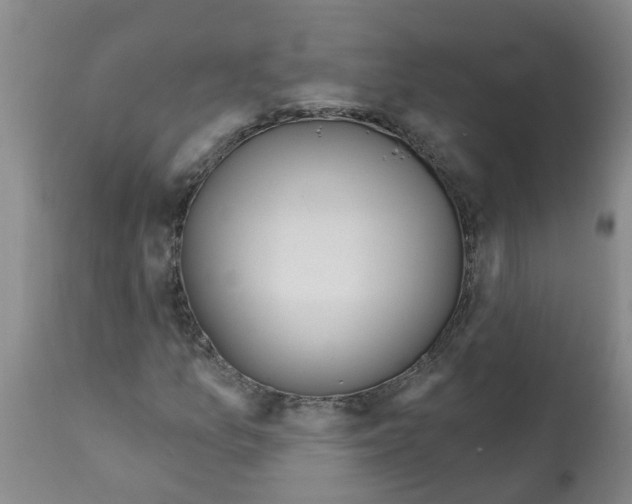 X0000112101157200909151153