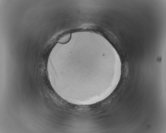 X0000112101158200909151153