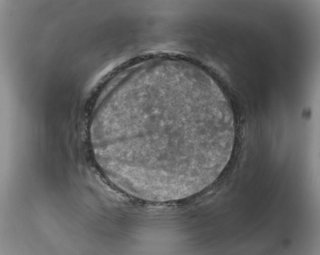 X0000112101159200909151153