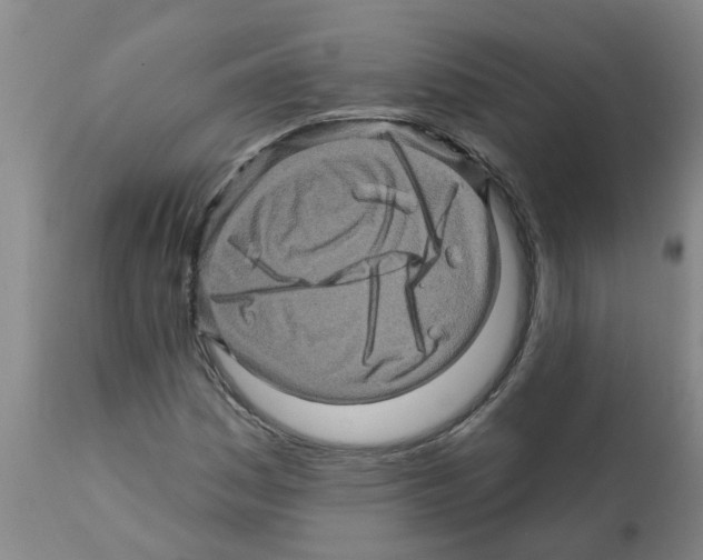 X0000112101161200909151152