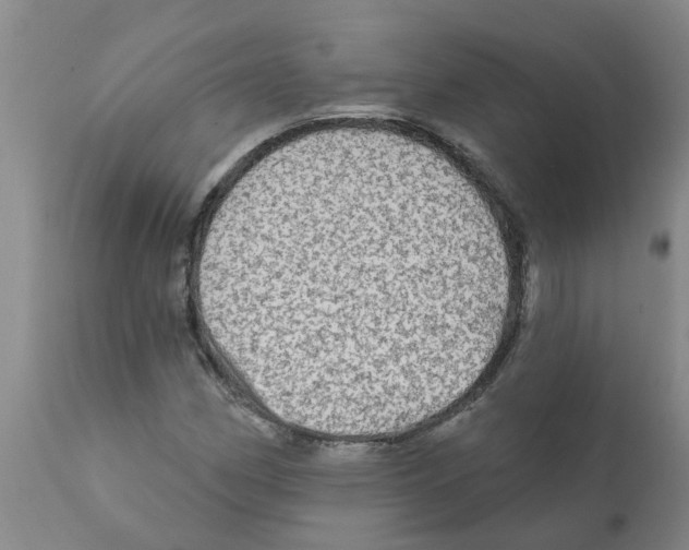 X0000112101162200909151152