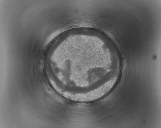 X0000112101163200909151152