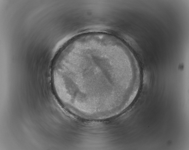X0000112101164200909151152