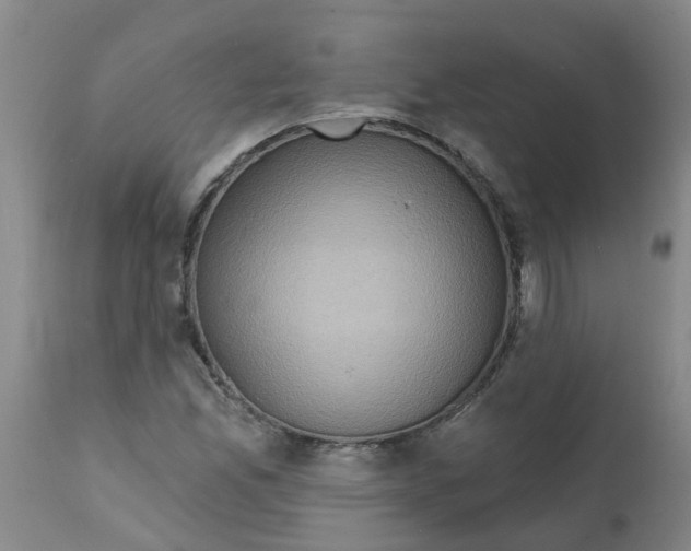 X0000112101165200909151152