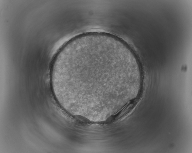 X0000112101167200909151152