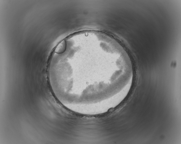 X0000112101168200909151152