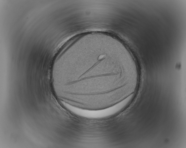 X0000112101169200909151152