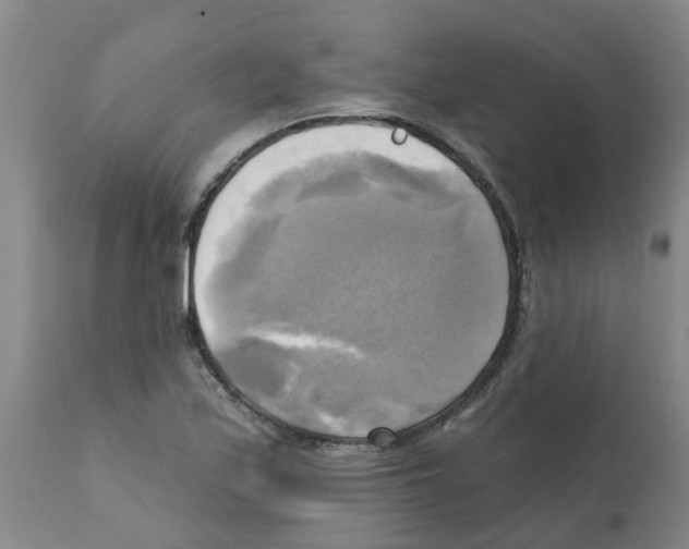 X0000112101171200909151152