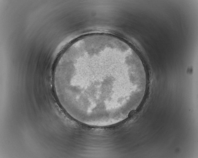 X0000112101172200909151152