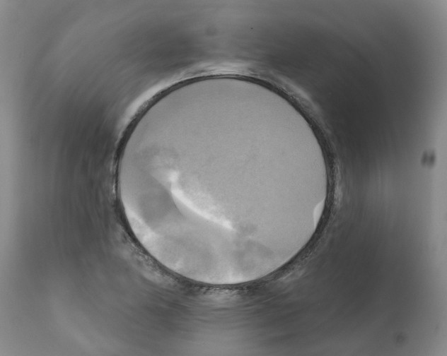 X0000112101174200909151152