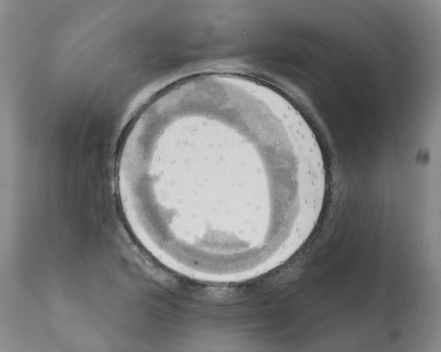 X0000112101176200909151152