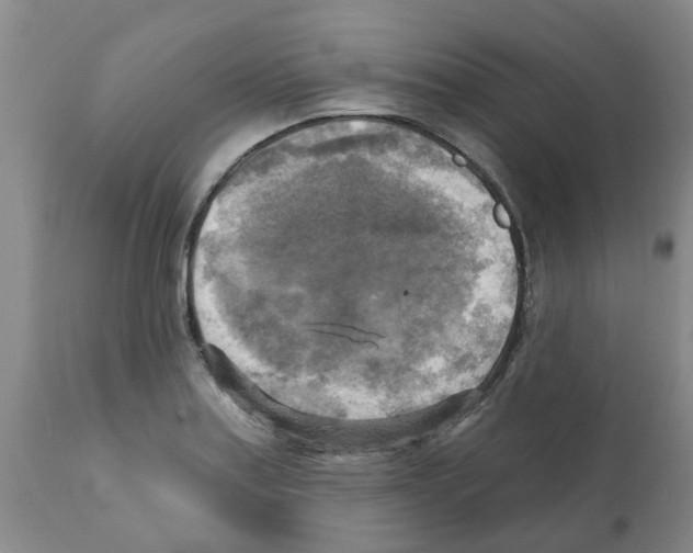X0000112101179200909151152