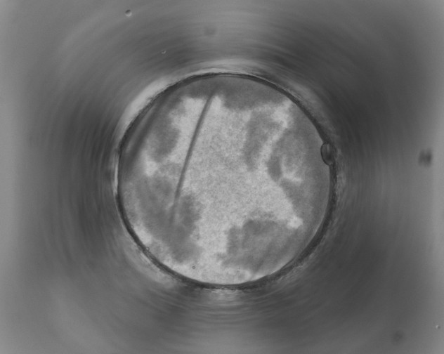 X0000112101180200909151152