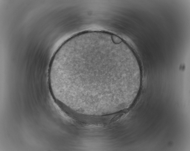 X0000112101183200909151152