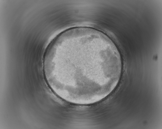 X0000112101184200909151152