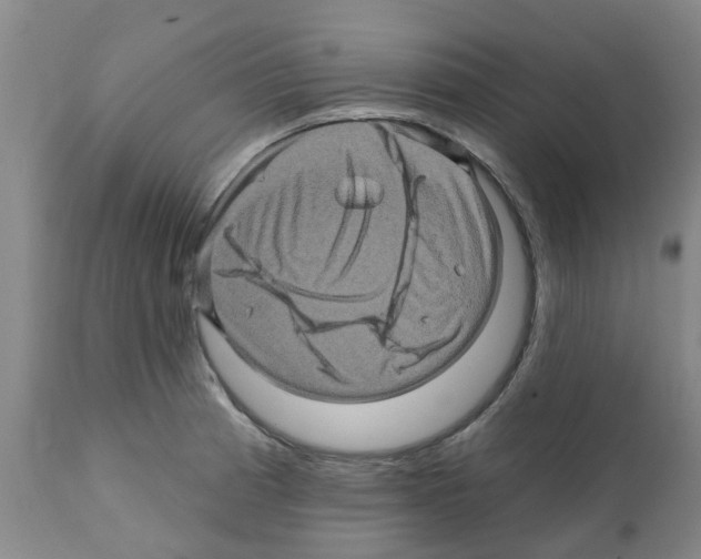X0000112101185200909151152