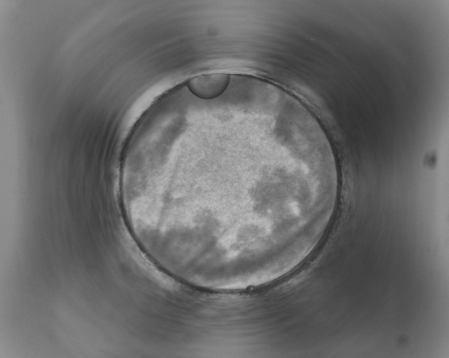 X0000112101188200909151152