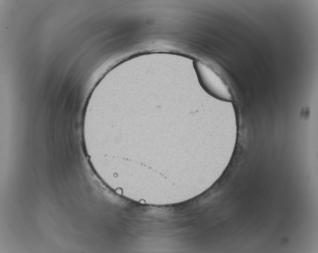 X0000112101191200909151152