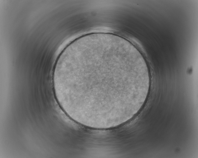 X0000112101192200909151152