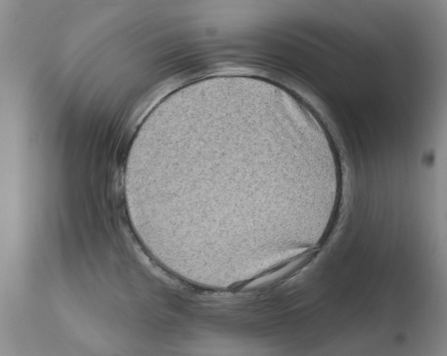 X0000112101193200909151152