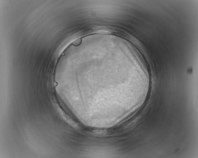 X0000112101194200909151152