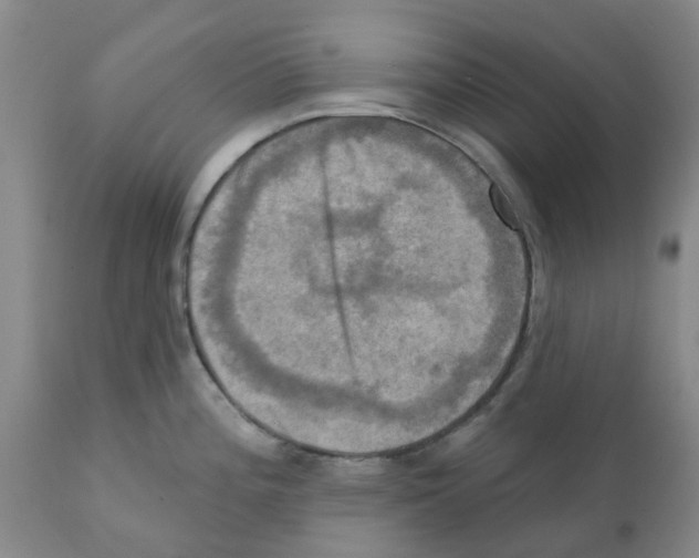 X0000112101196200909151152