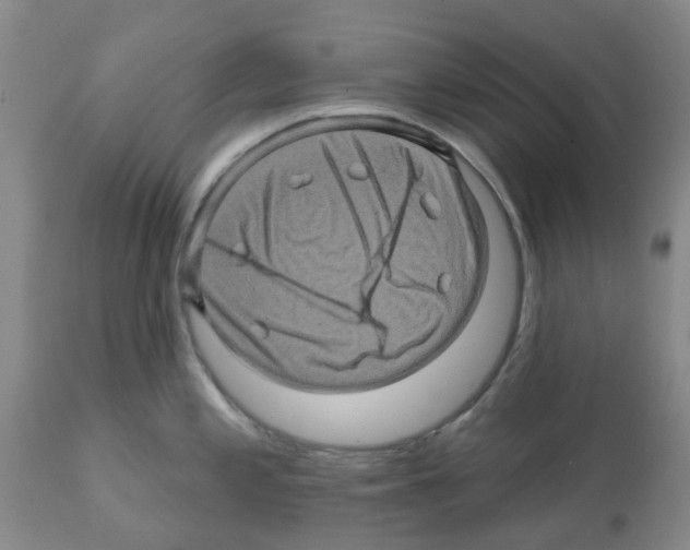 X0000112101197200909151152