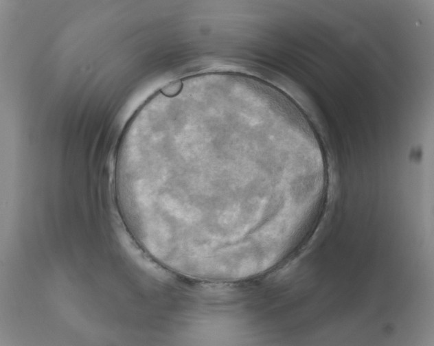 X0000112101198200909151152