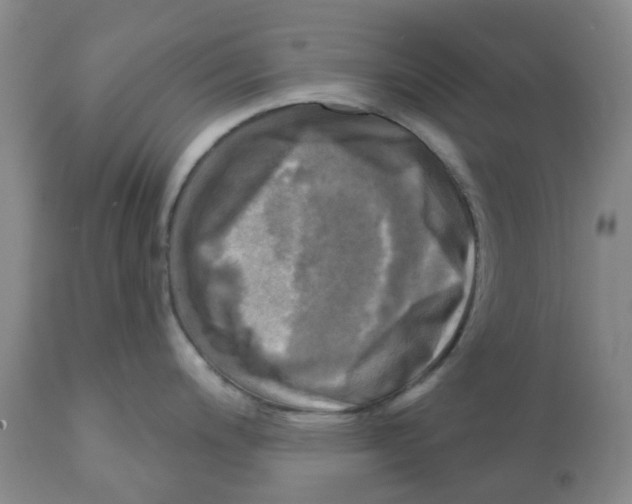 X0000112101200200909151152