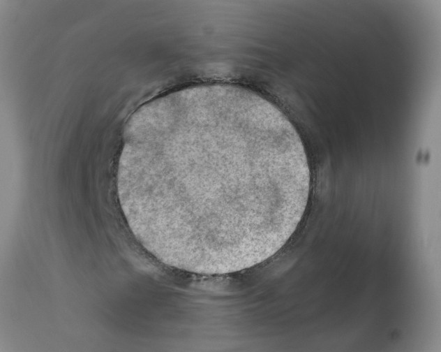 X0000112101201200909151151