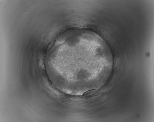 X0000112101202200909151151