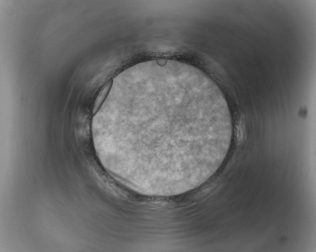 X0000112101204200909151151