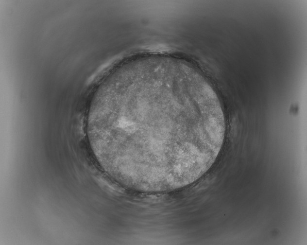 X0000112101205200909151151