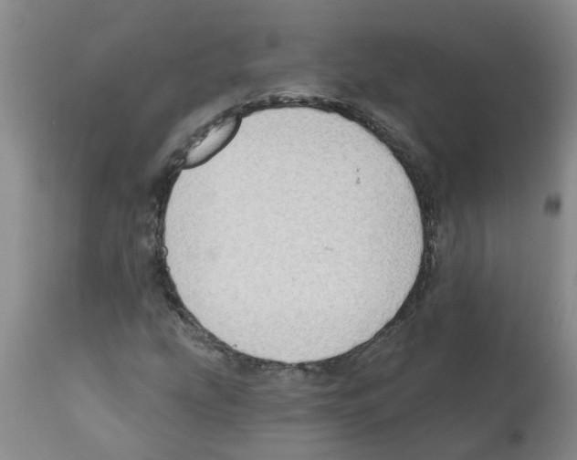 X0000112101207200909151151