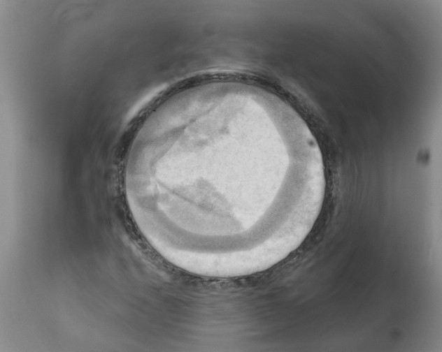 X0000112101208200909151151