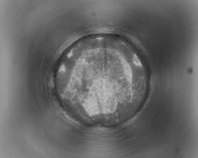X0000112101209200909151151