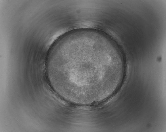 X0000112101210200909151151