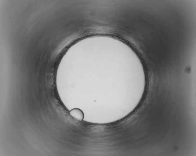 X0000112101211200909151151