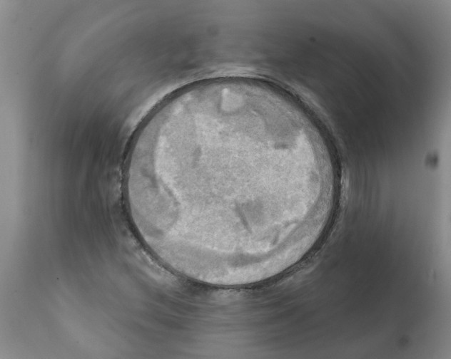 X0000112101212200909151151